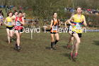 Senior women, 2020 British Athletics Inter Counties Cross Country Champs., Prestwold Hall, Loughborough. Photo: David T. Hewitson/Sports for All Pics